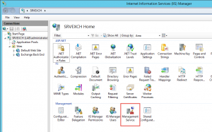 IIS Management Service