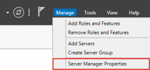 Server Manager Properties